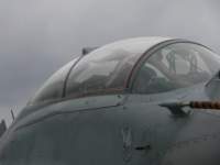 _brno_ciaf_2007_fv_1805_small.jpg