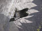 Photo Number 9